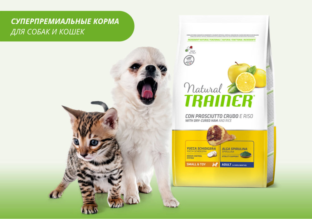 Продвижение бренда TRAINER в Social Media